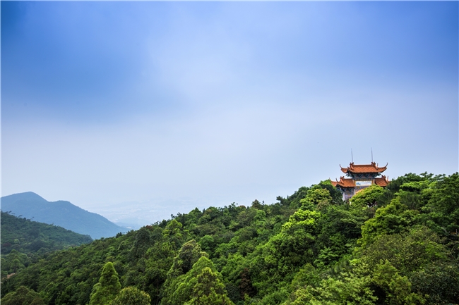 自然保護地整合優化：廣東觀音山國家森林公園將何去何從