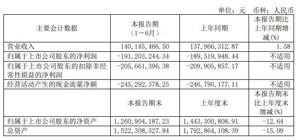 星環科技上半年虧損 2022上市募14億擬定增募8.9億