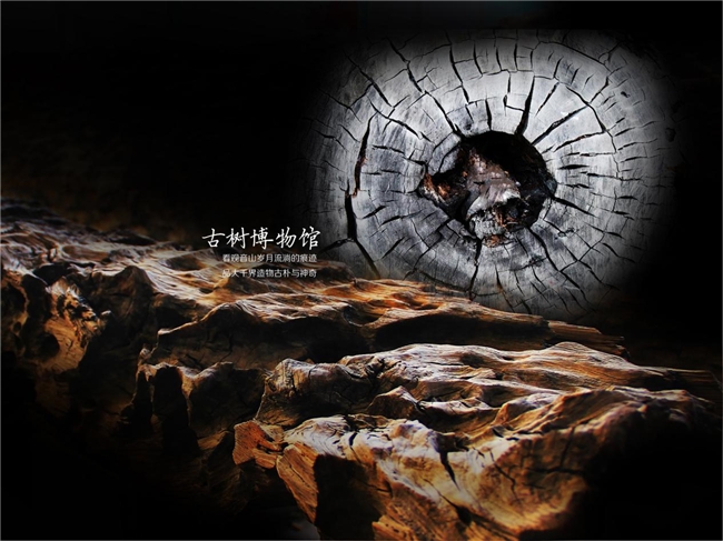 讓傳統(tǒng)文化浸潤城市人文品格  ——廣東觀音山傾力打造文化名山紀實