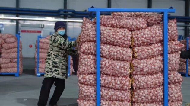 七朵集團：智慧農業浪潮中的變革先鋒